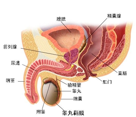 人流检查的治疗方法